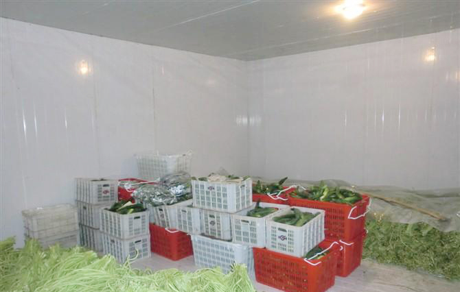 Cold Storage for Fruits and Vegetables