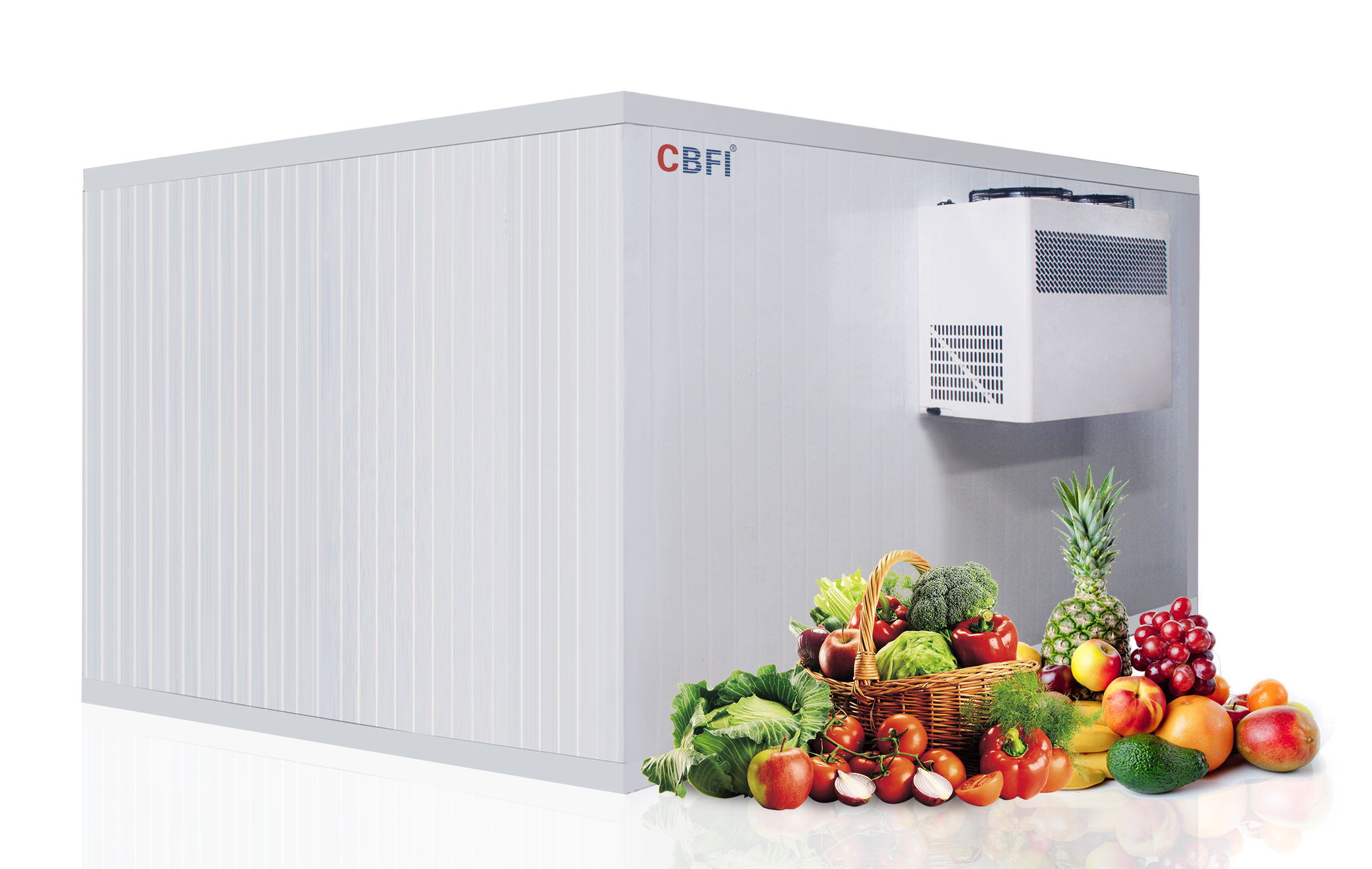 CBFI-cold room refrigeration unit | Intelligent Cold Room Unit | CBFI-2