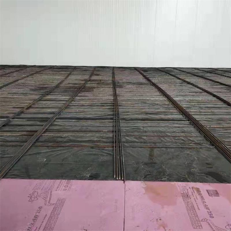 Mexico Integrated Fish Processing Cold Room - Stage 2 Floor Treatment