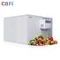 hot-sale blast freezer cbfi manufacturer