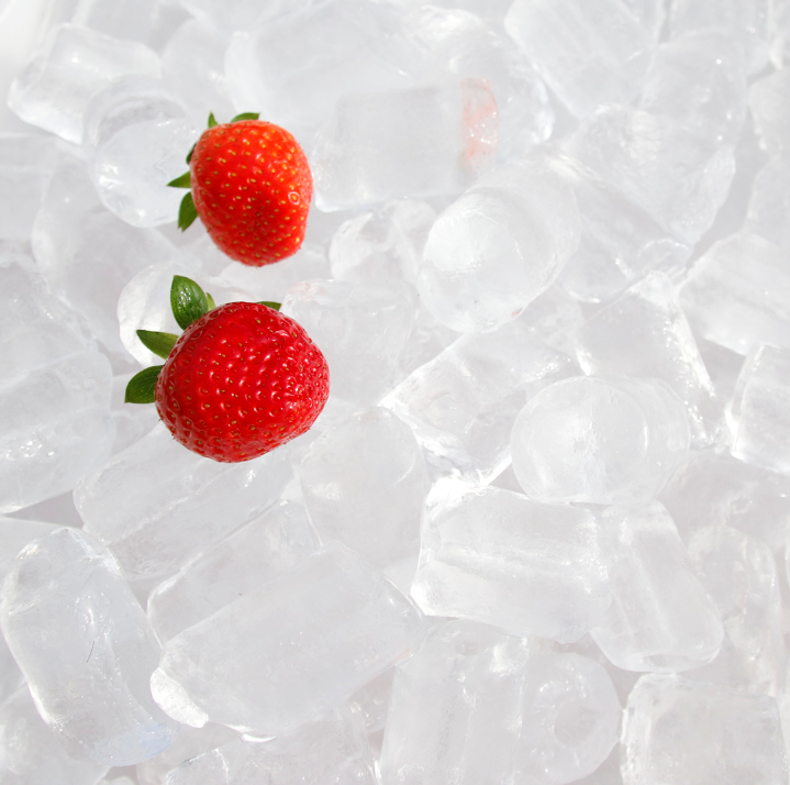 CBFI best vogt tube ice machine for wholesale for fruit preservation