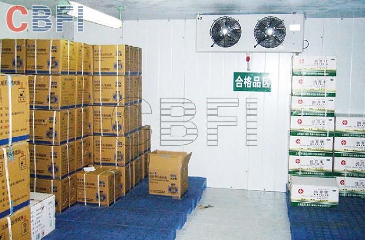 CBFI coolest frozen cold room for meat and fish bulk production for vegetable storage