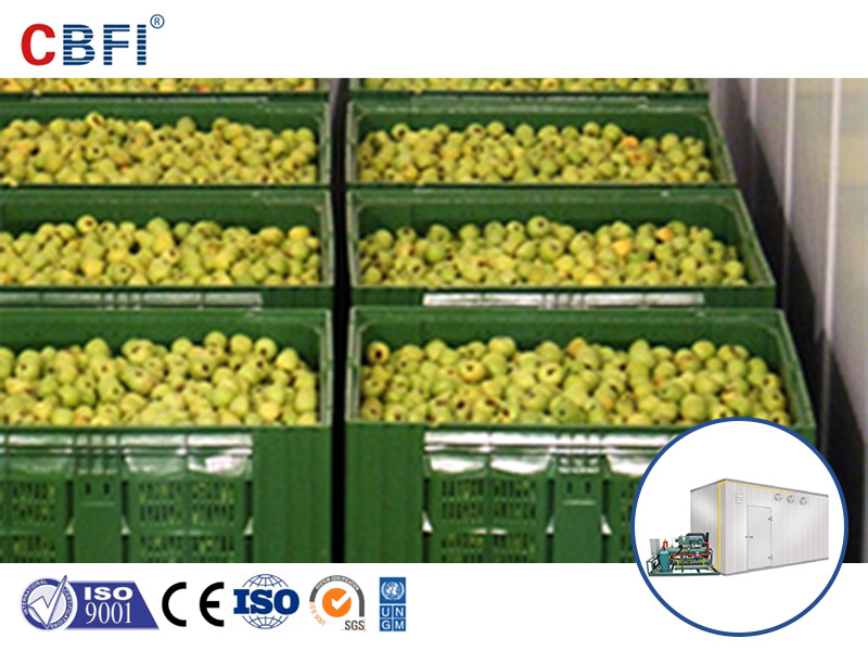 news-Fresh food,fruits and vegetables management method-CBFI-img
