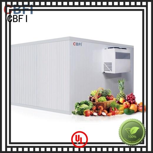CBFI vegetables vegetable cold storage room manufacturer for fruit storage