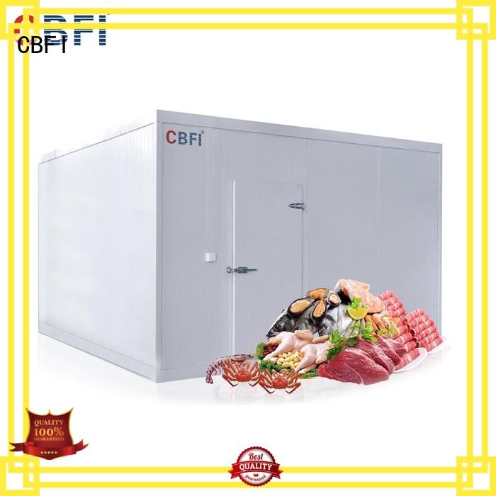 CBFI VCR Series Freezer Room For Meat, Fish, And Chickens
