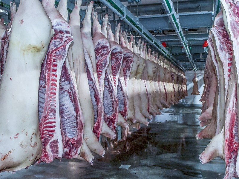 news-Meat and Poultry Processing-CBFI-img