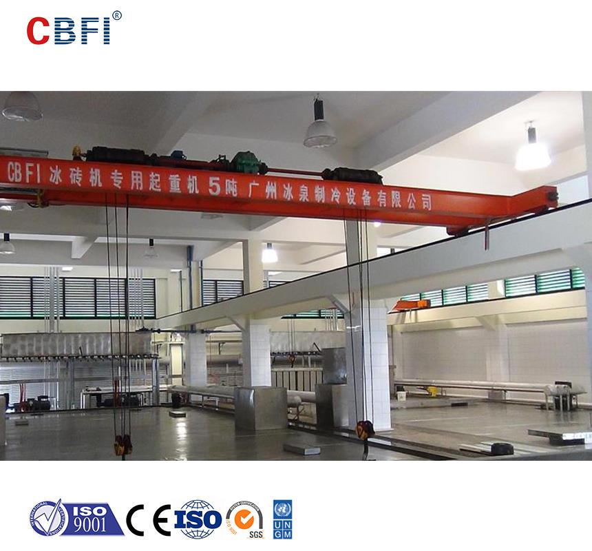CBFI 60 tons 24 hrs Freon System Block Ice Plant in Malaysia